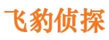 雁塔市侦探公司